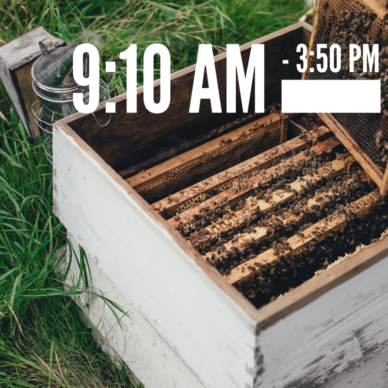 9:10 AM - 3:50 PM