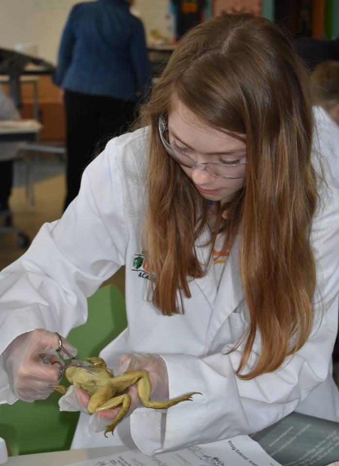 STEM Washington Academy, students doing various activities indoors and outdoors