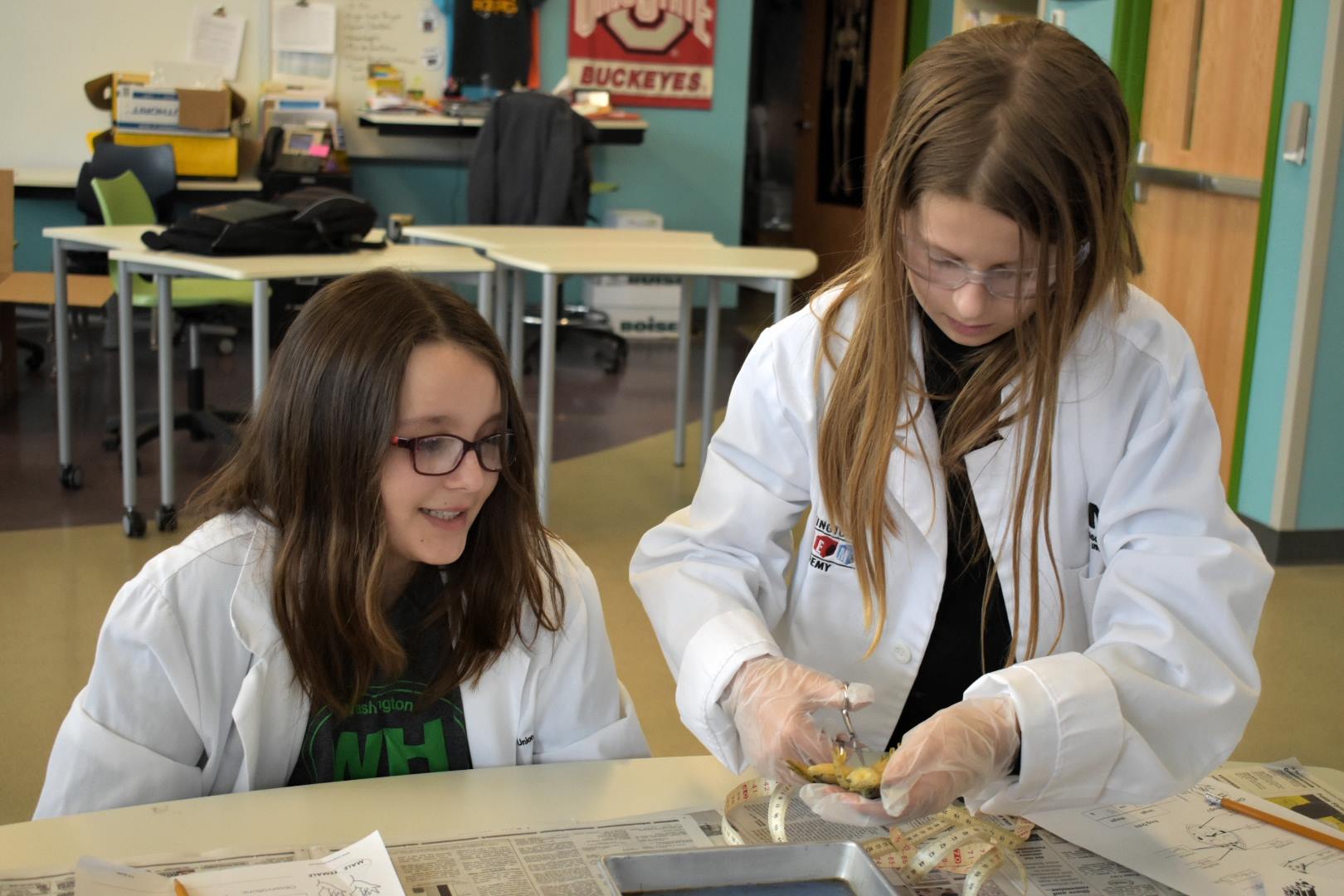 STEM Washington Academy, students doing various activities indoors and outdoors