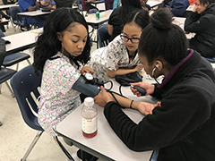 health and medical sciences academy