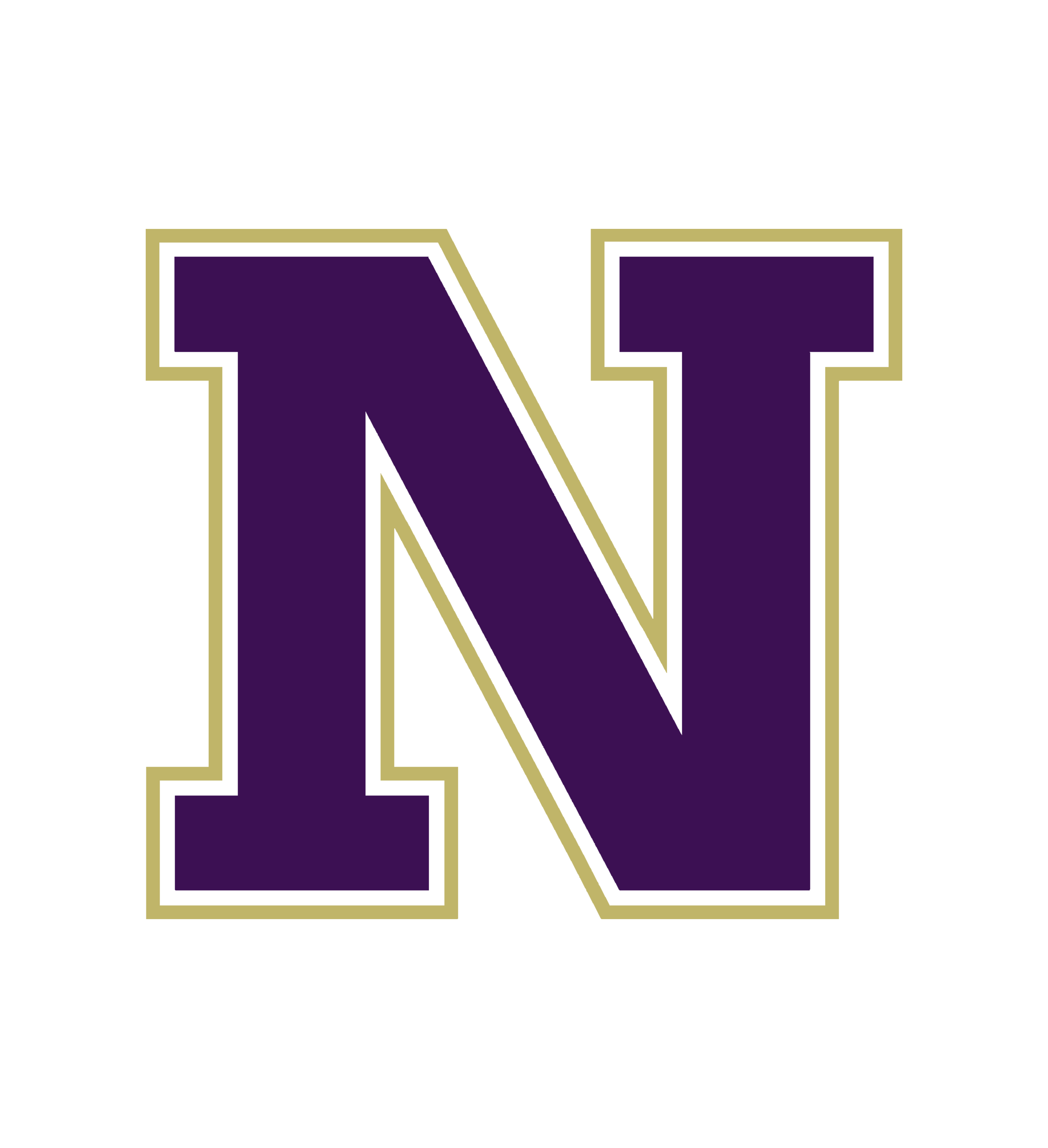 Navarro N
