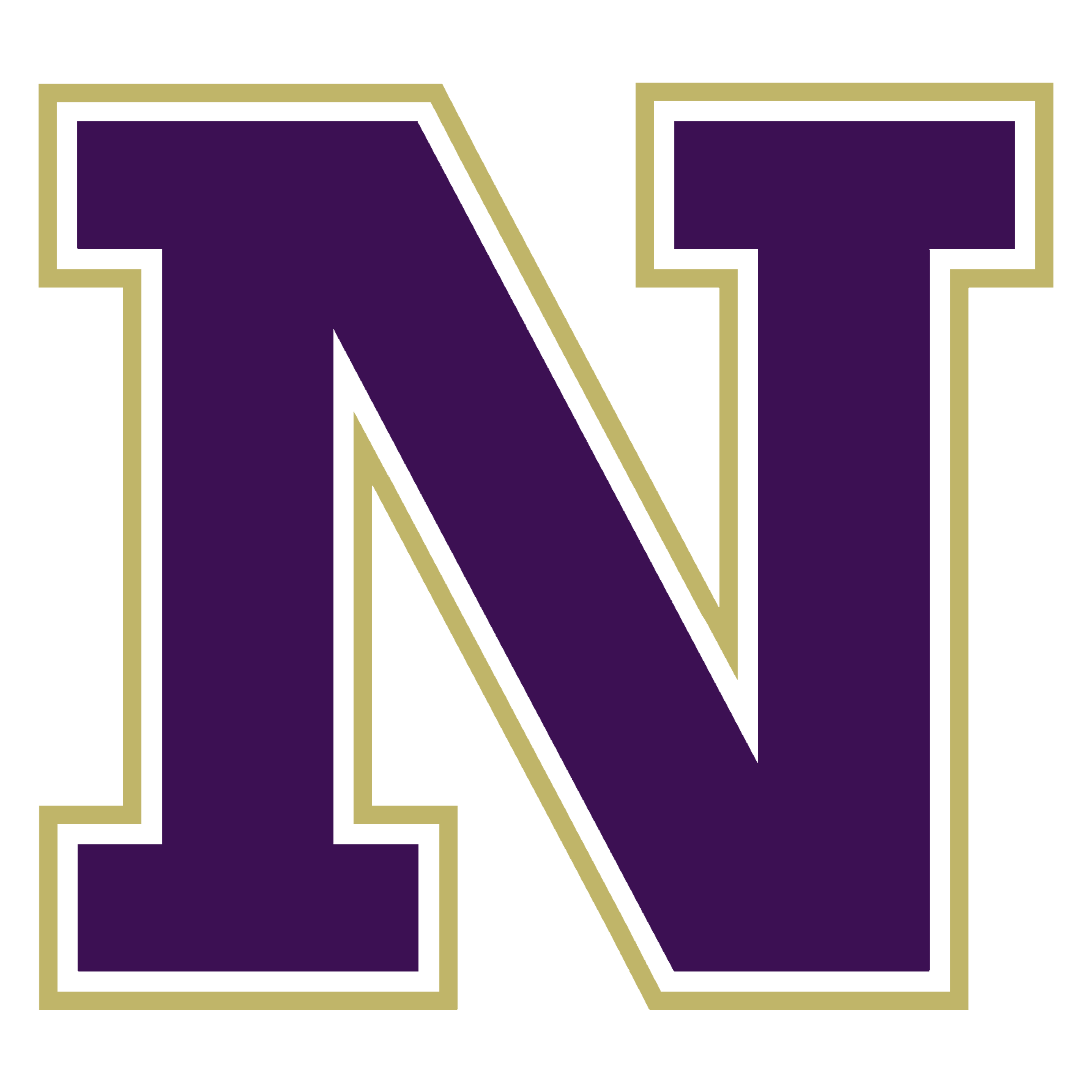 Navarro N
