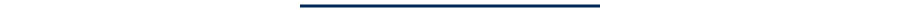 Navy Divider