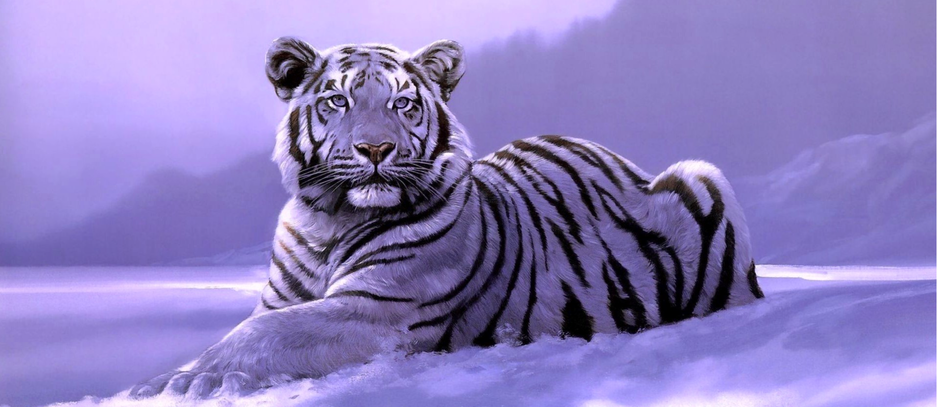 Purple Tint Winter Tiger