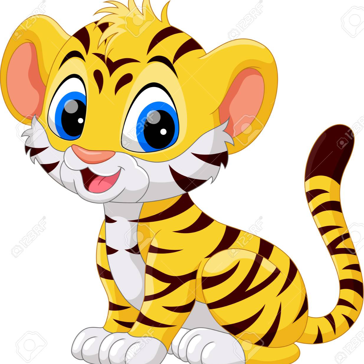 Little Tiger