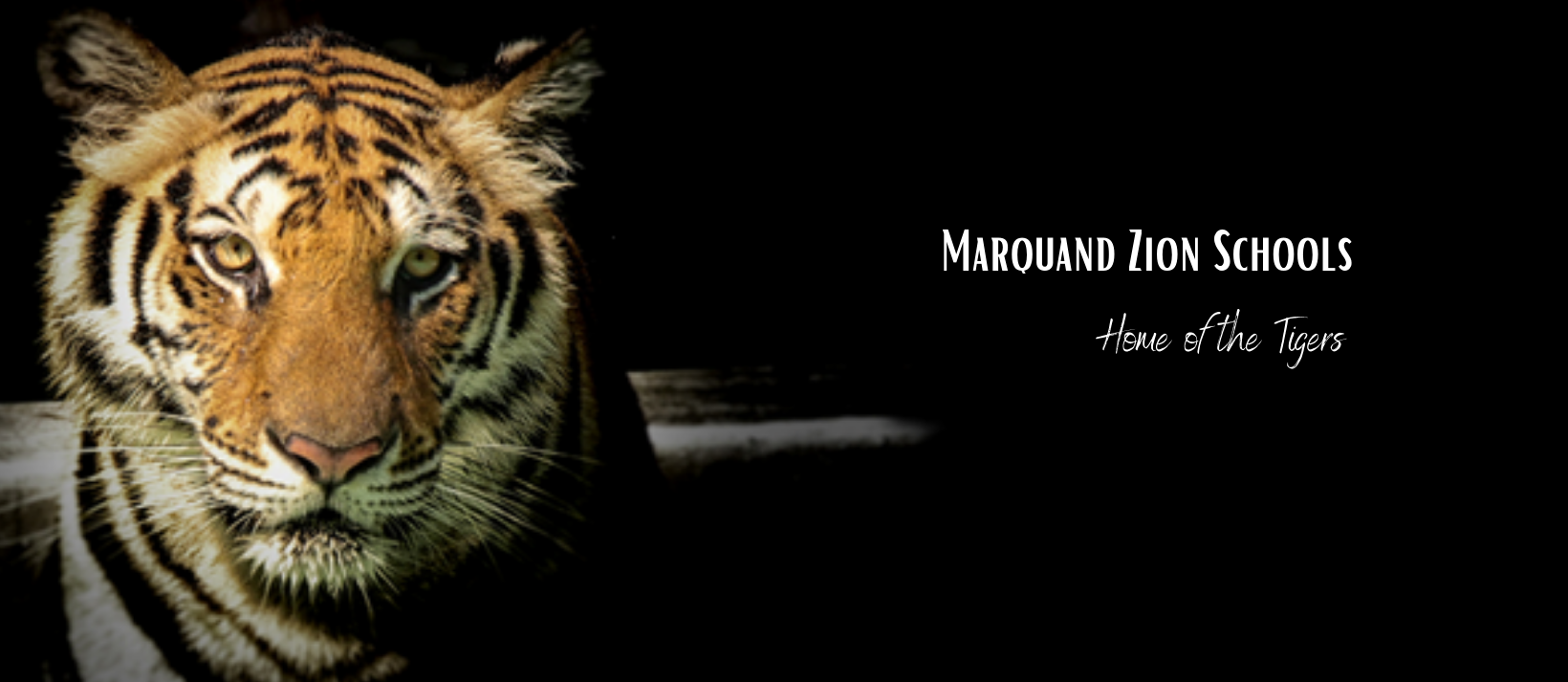 MZ Tigers
