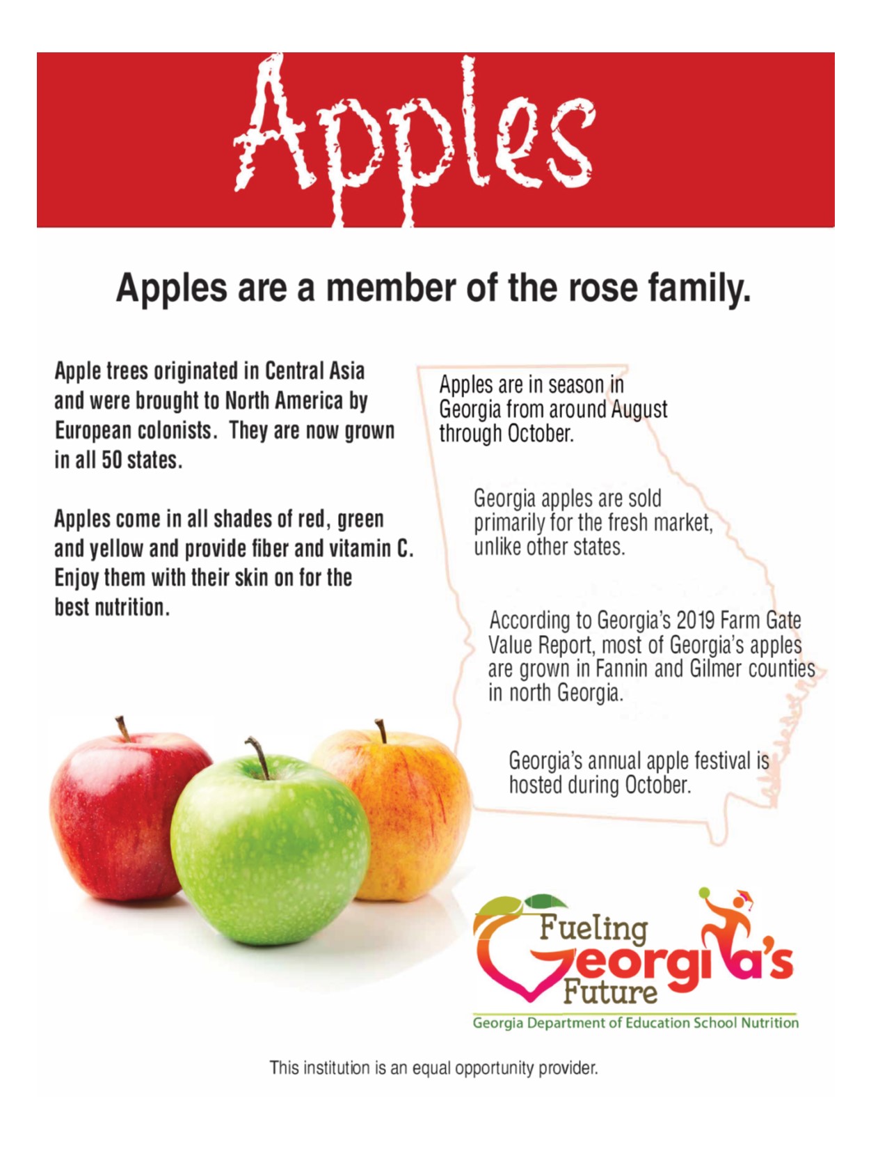 All About Apples