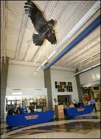 Bronze Eagle Sculpture