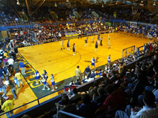 Civic Arena Wood Floor
