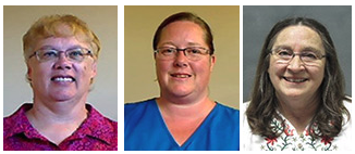 2016-17 Golden Apple Award Winners:
