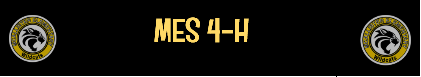 4H