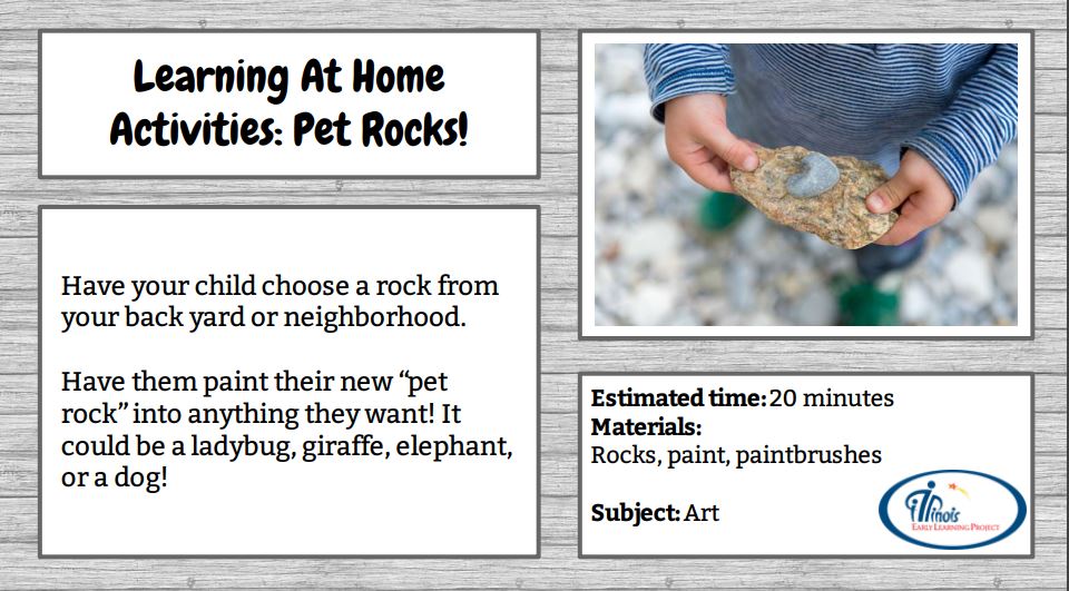 pet rocks