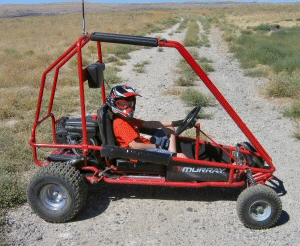 MURRAY GOKART