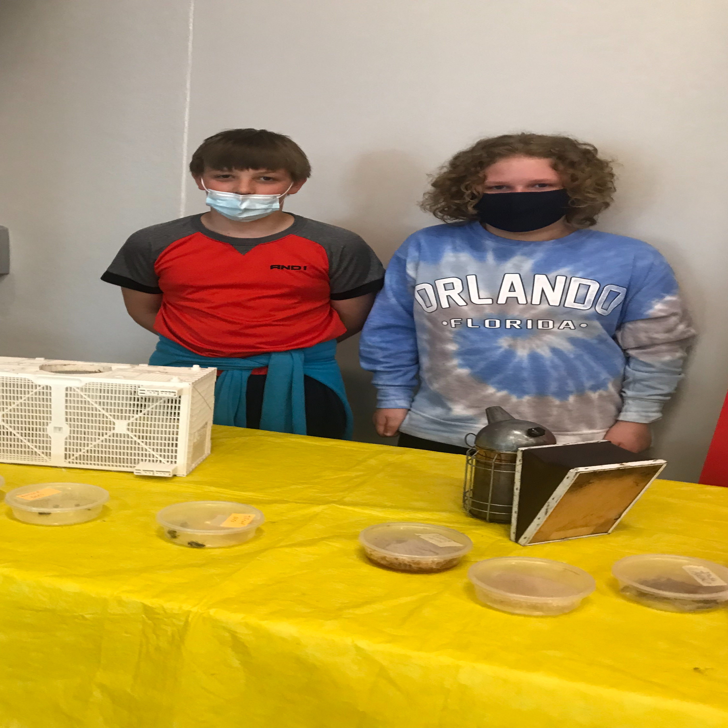 Bee Assembly