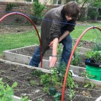 Raised Gardens