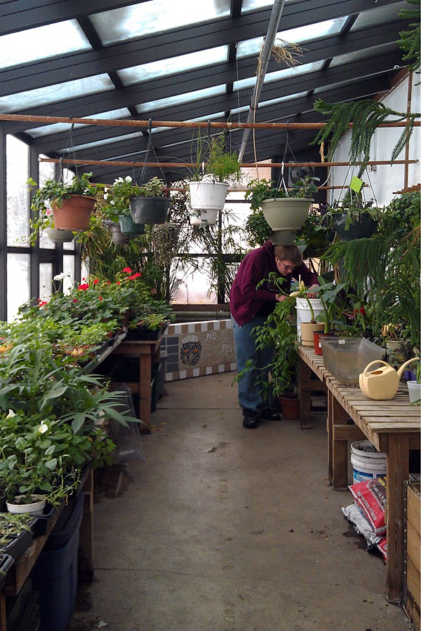 Greenhouse