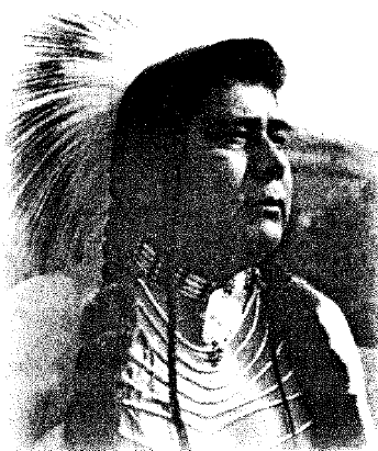 Louie Henry Dick Jr.