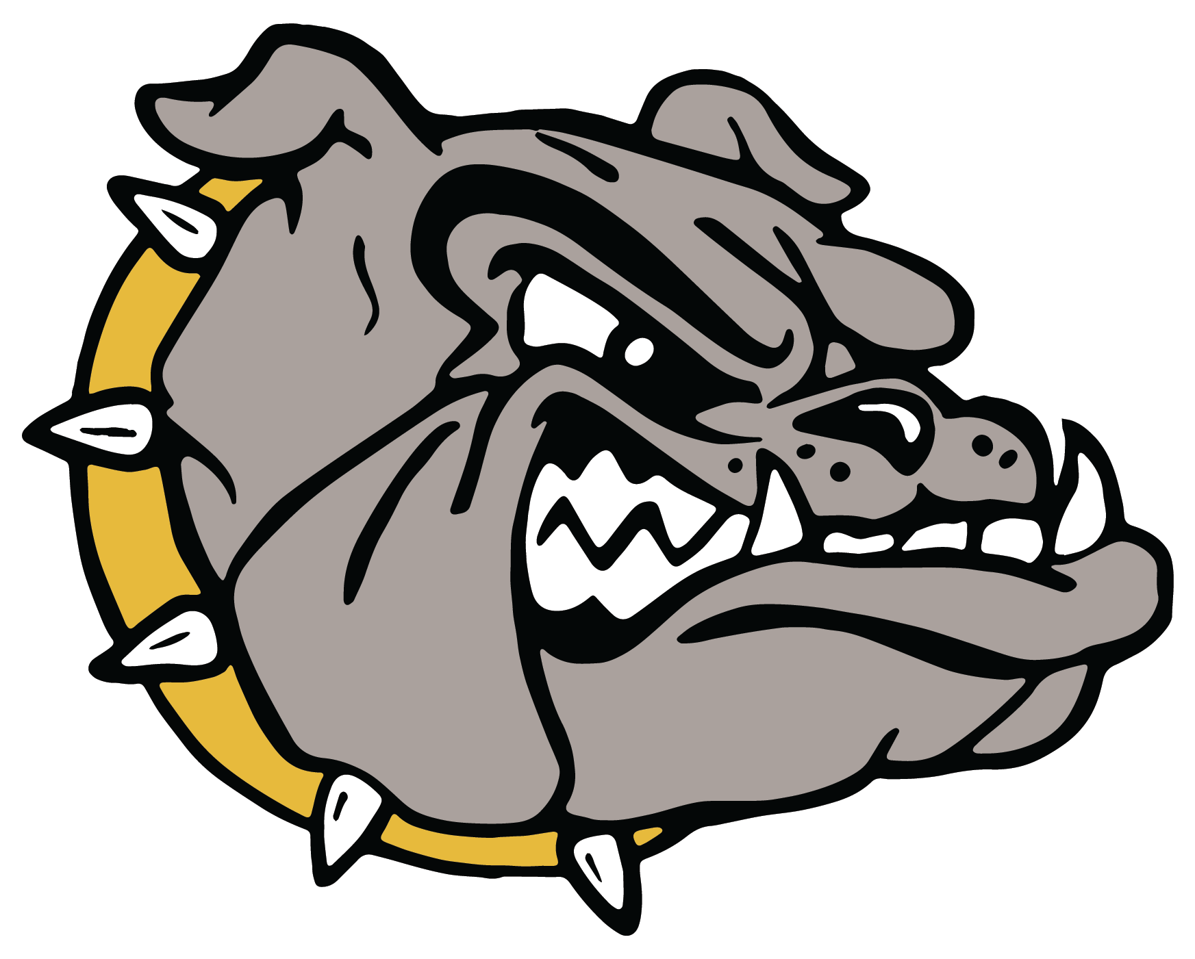 Drummond Public School Home