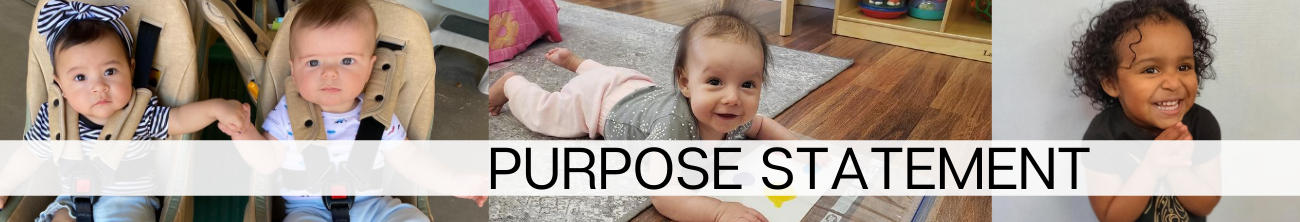 PURPOSE STATEMENT