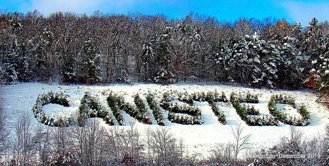 CanisteoGreenwood Central School District Teaching for Learning