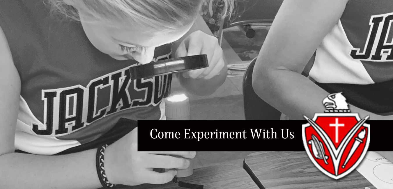 Child looking through Microscope