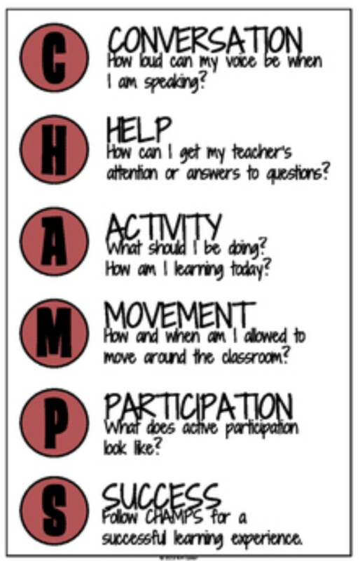 CHAMPS acronym Conversation Help Activity Movement Participation Success