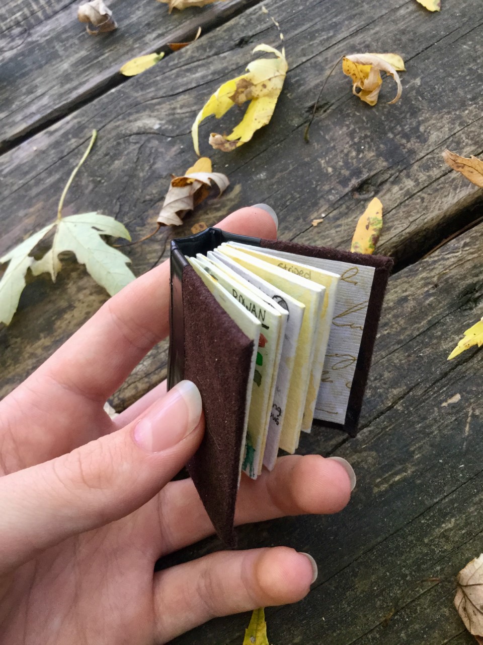 LC
