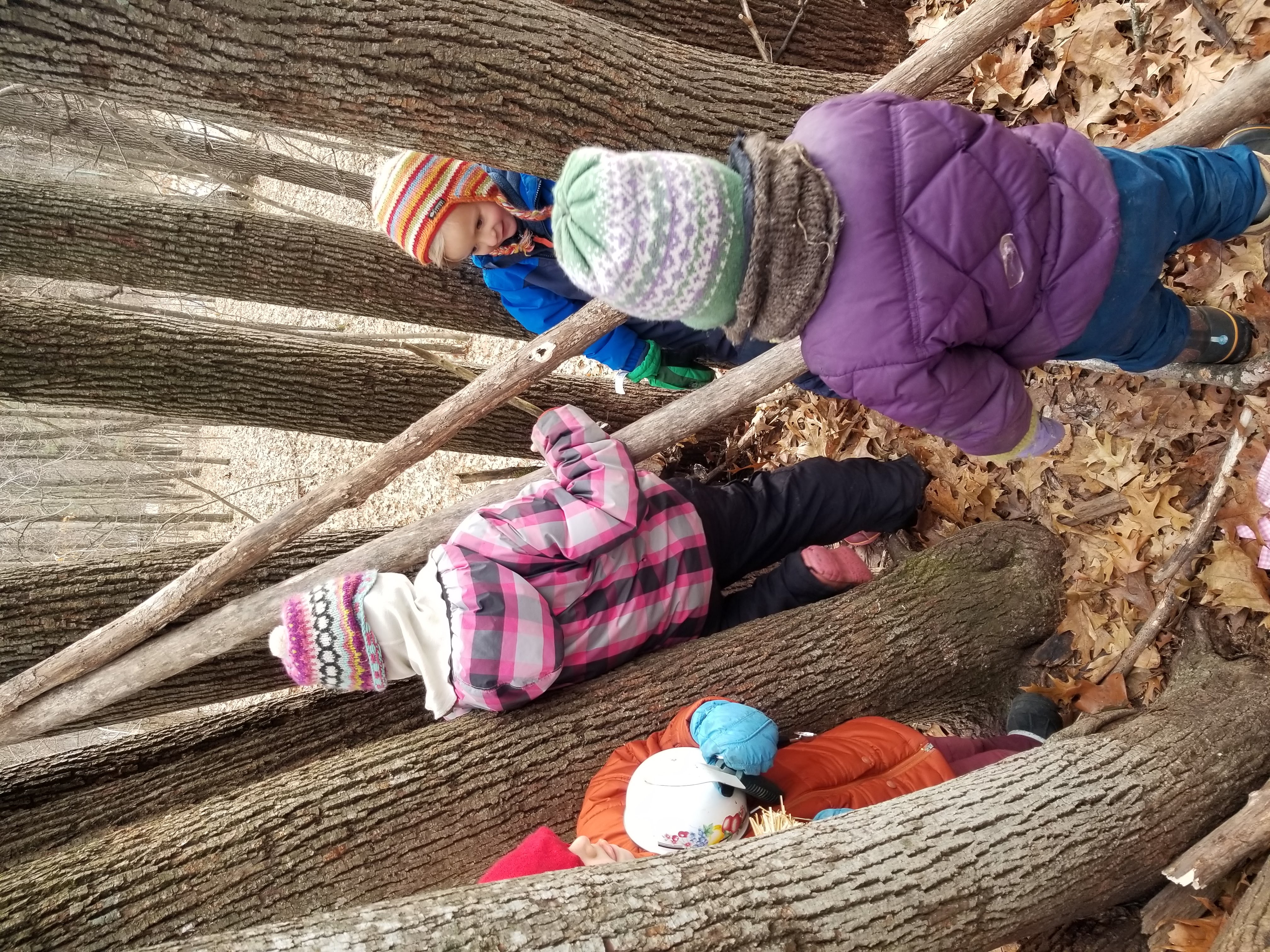 children building with branches
