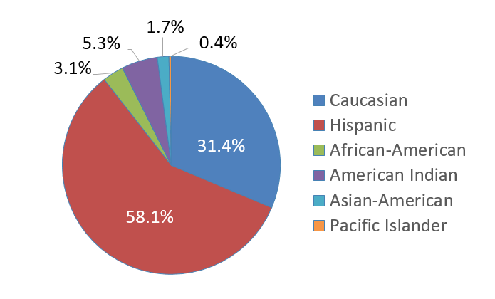 Ethnicity pie chart for students at Rio Rancho Public Schools