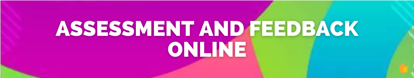 Assessment and Feedback Online