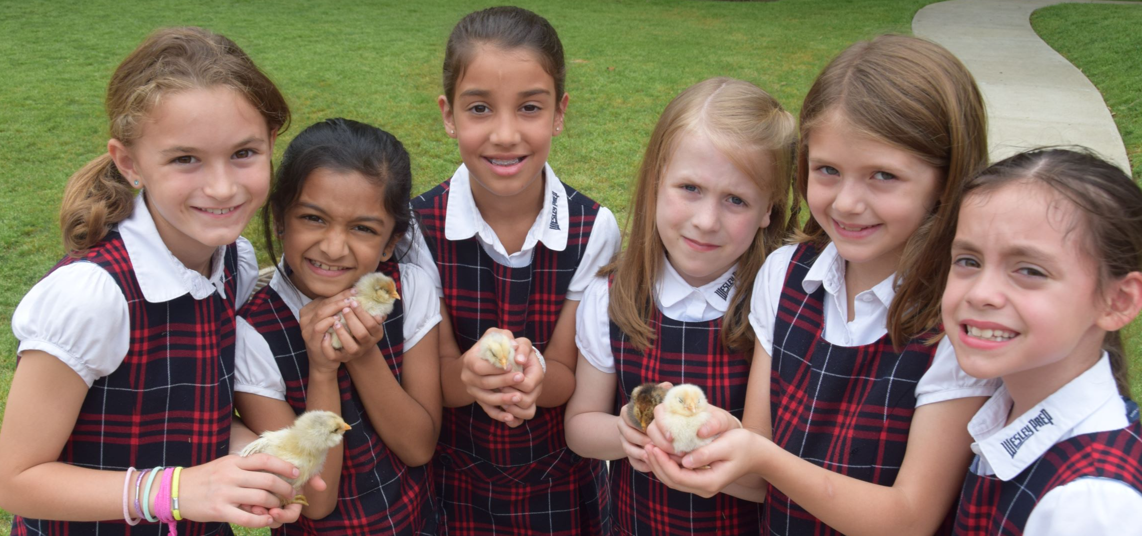 GIRLS WITH BABY CHICKS ON PLAYGROUND
