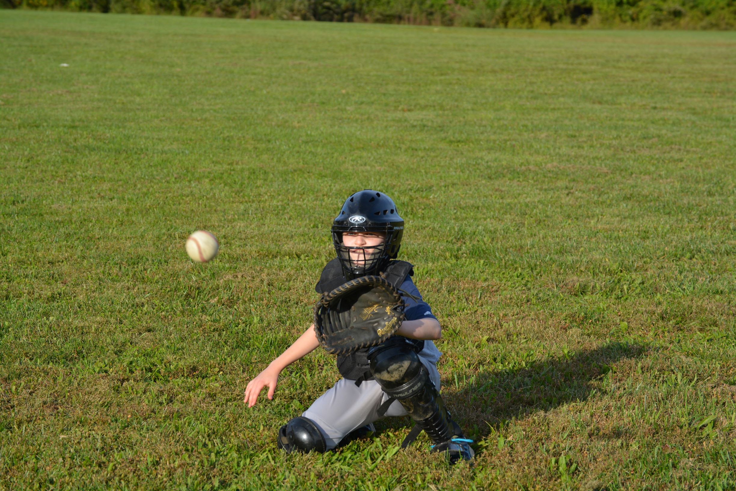 Baseball catcher