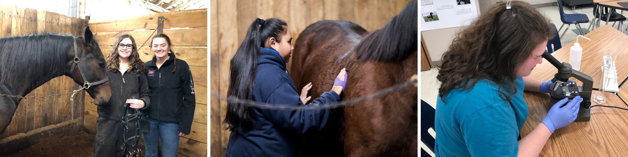 Equine Science High School