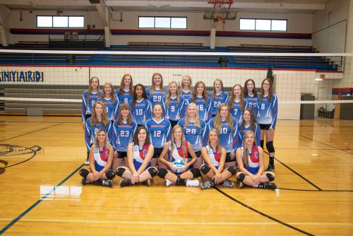 2019 HS Volleyball