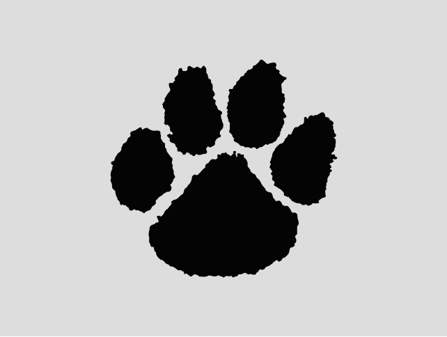 Rossville Alvin Logo