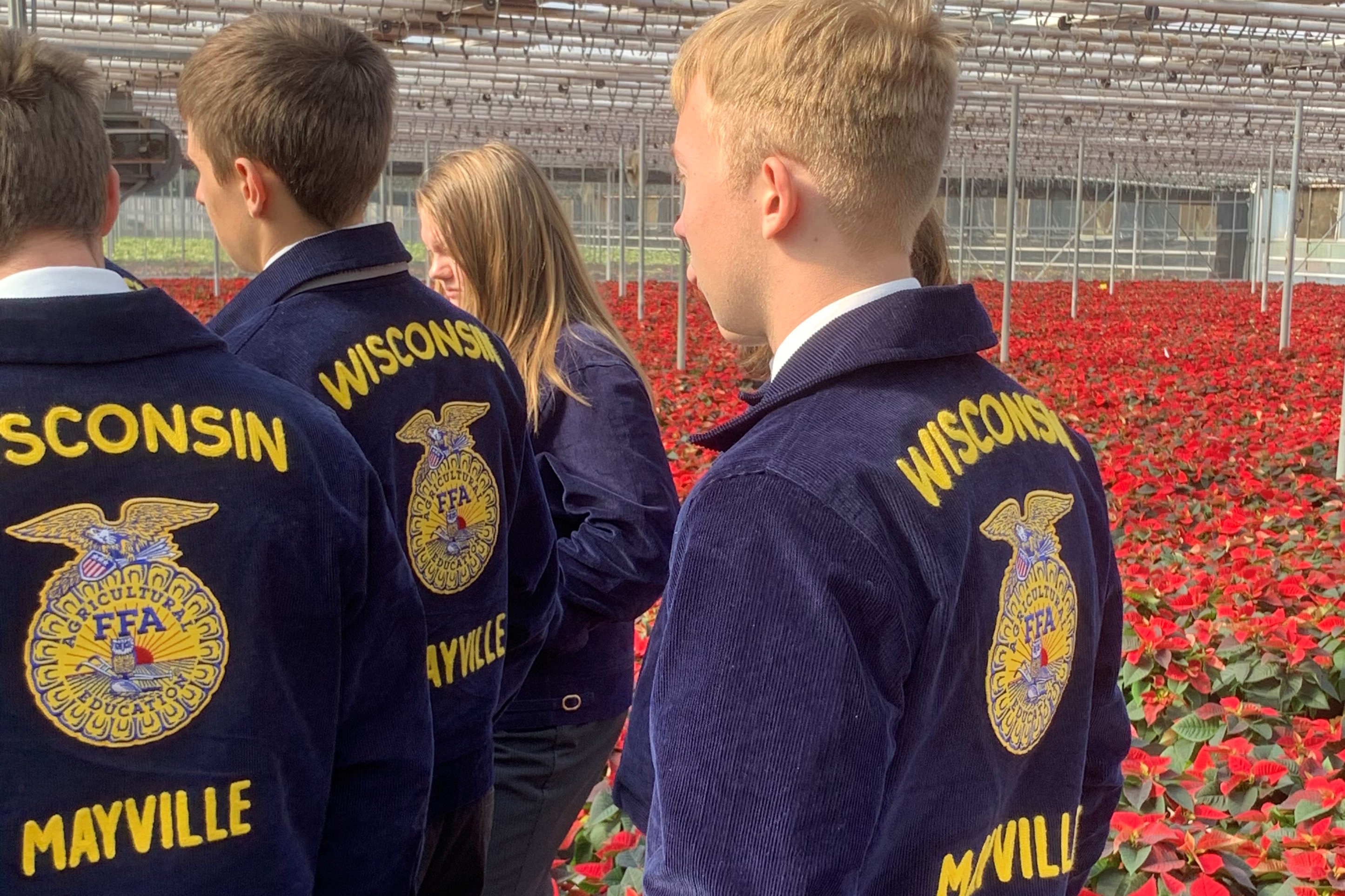 FFA