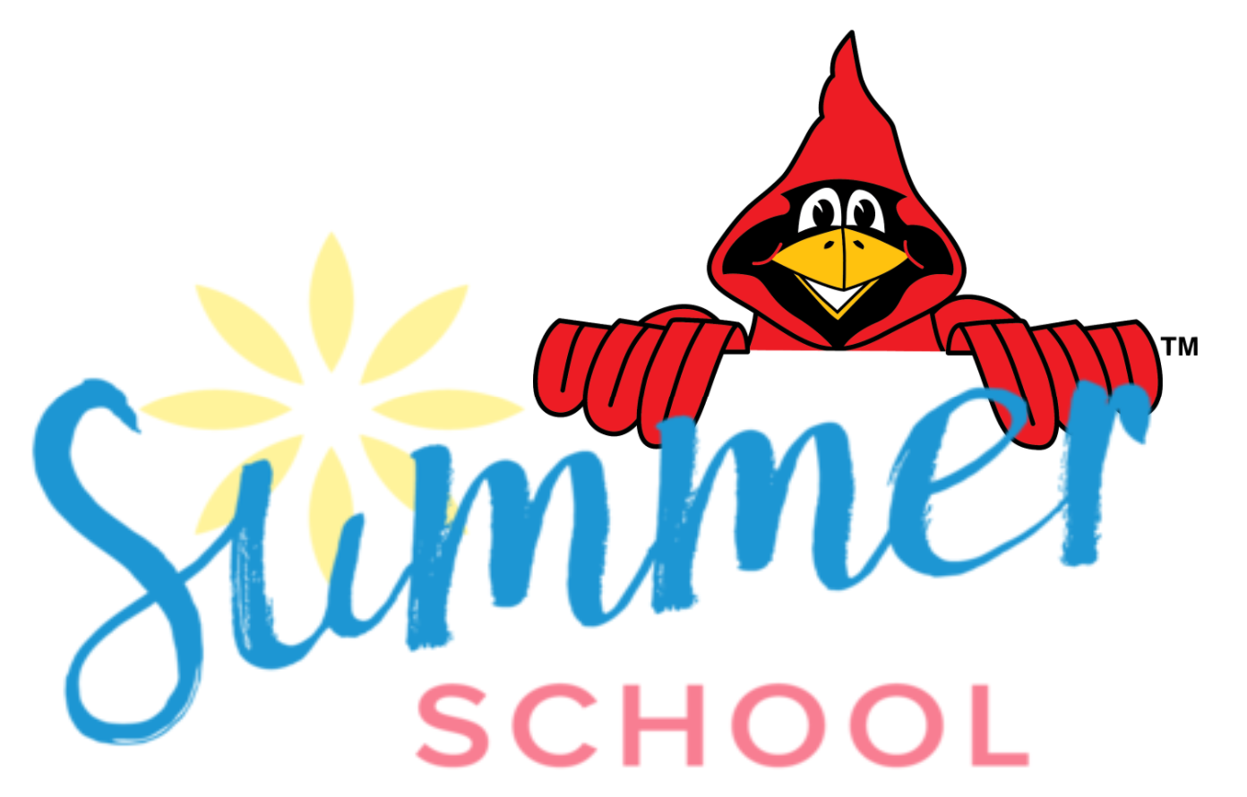 summer school
