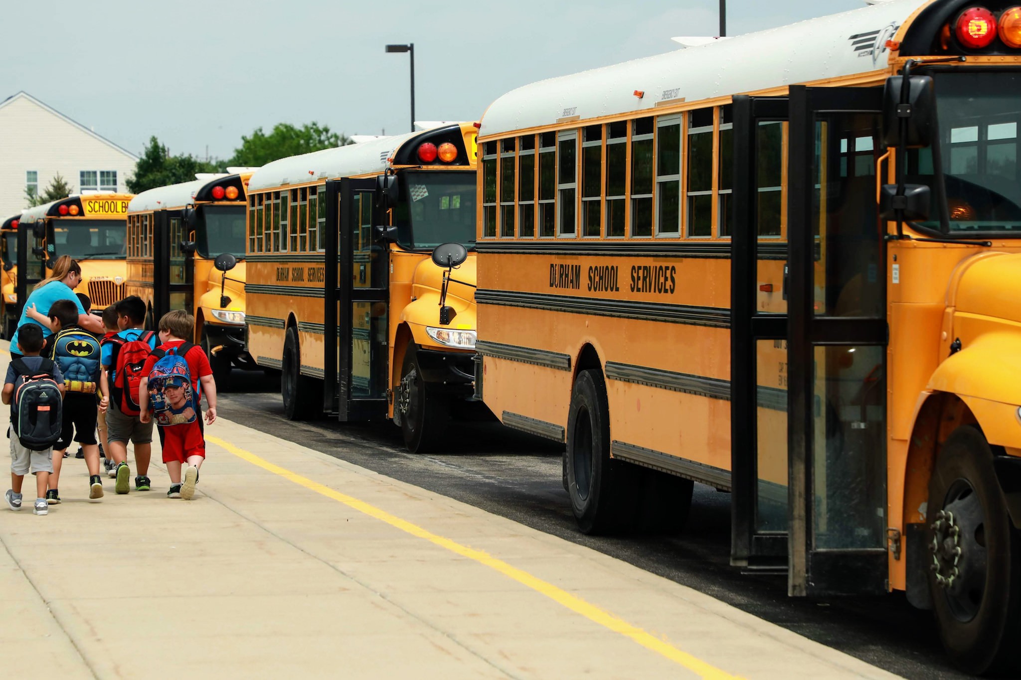 bus