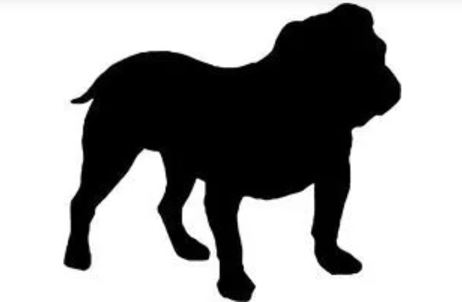 bulldog logo
