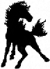 B185