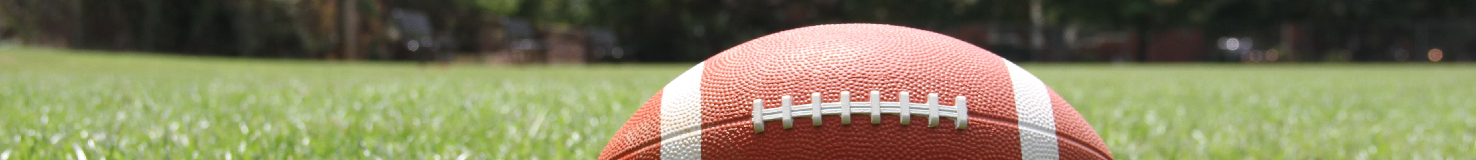 Football Stock Image