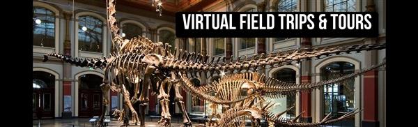 Virtual Field Trips & Tours