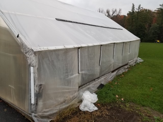 Greenhouse