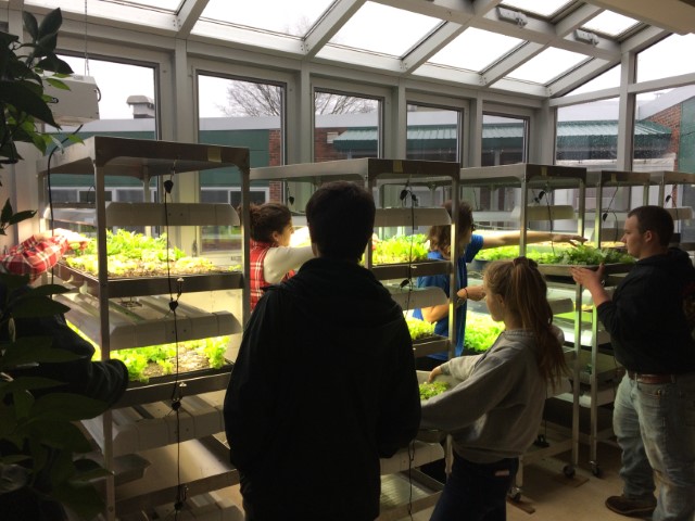 Greenhouse
