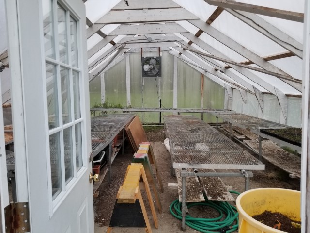 Greenhouse