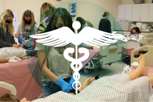 Therapeutic Services