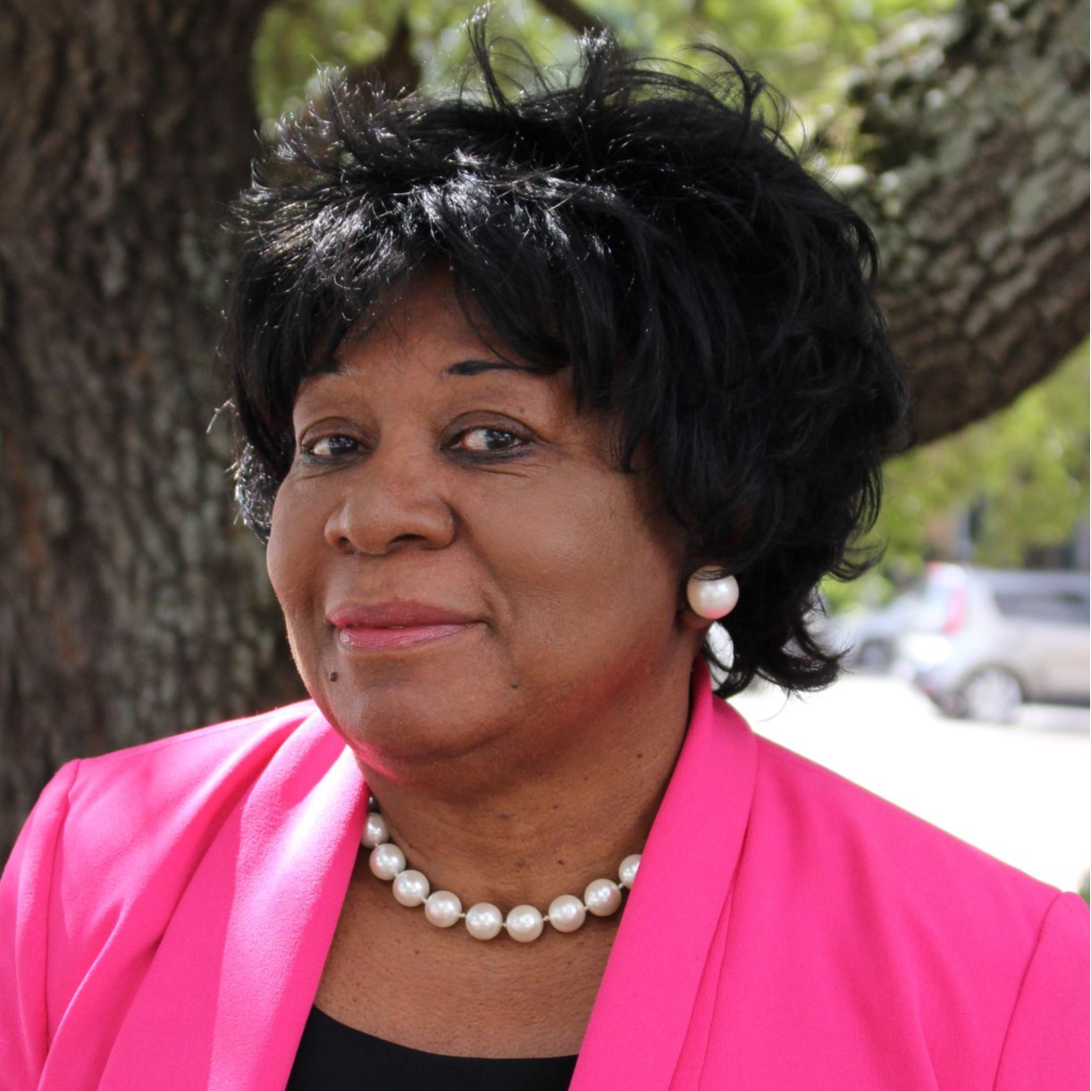 Dr. Hazel T. Jones, Vice-Chair