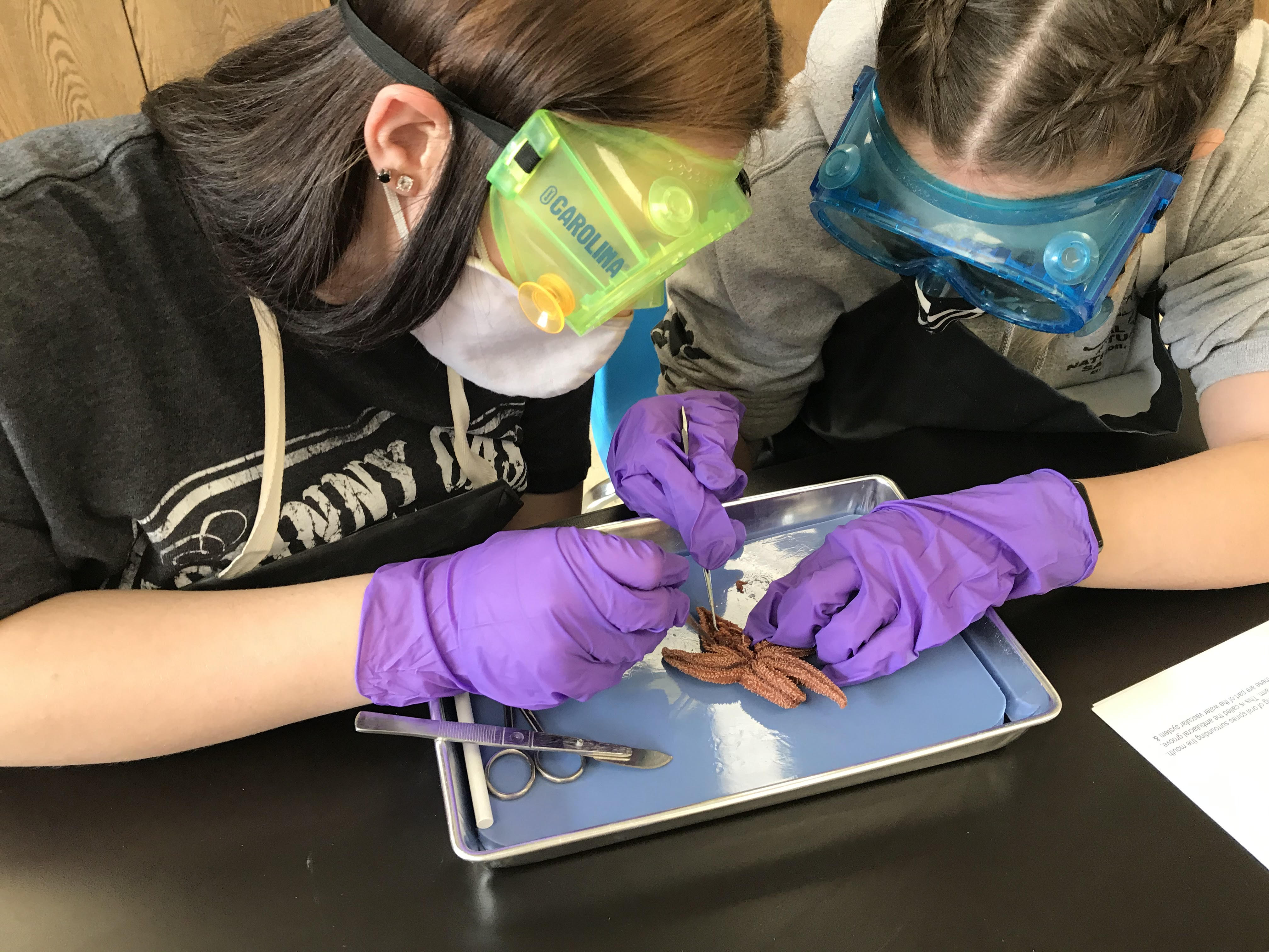 Science 3