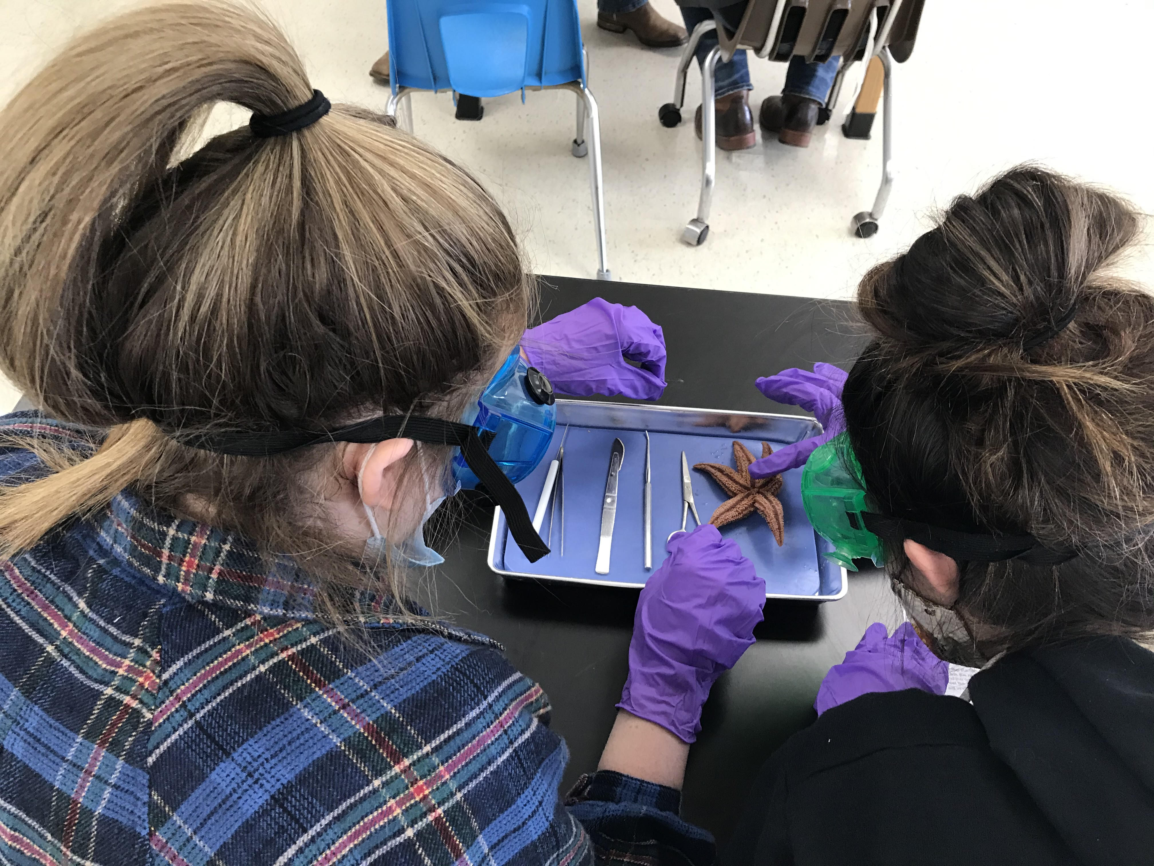 Science 2