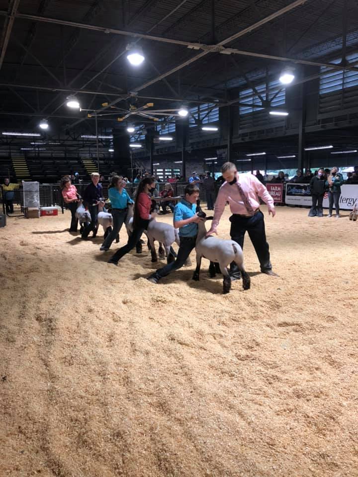 FFA1